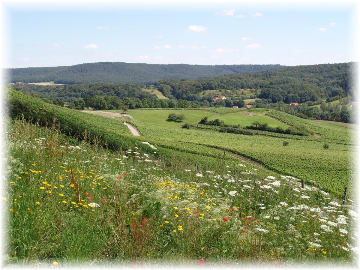 Pfrang * Michelau im Steigerwald